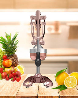 Stainless Steel Manual Juicer Gold