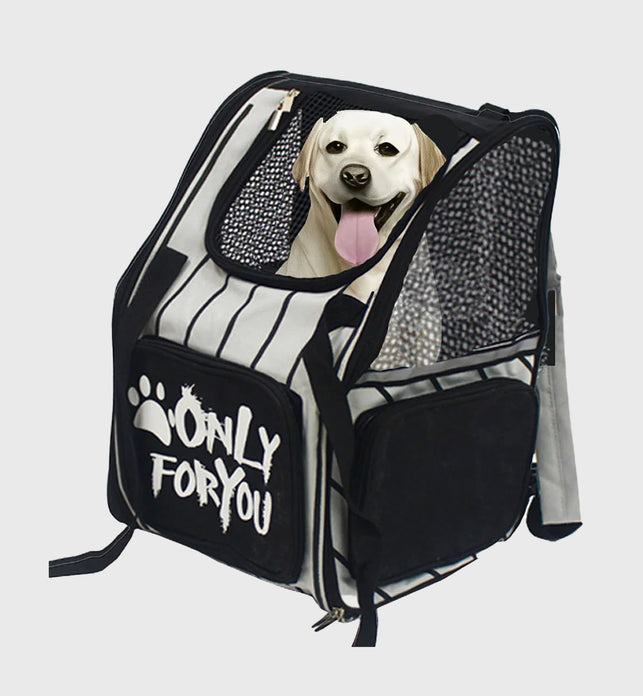 Black Portable Backpack Pet Carrier Breathable Mesh