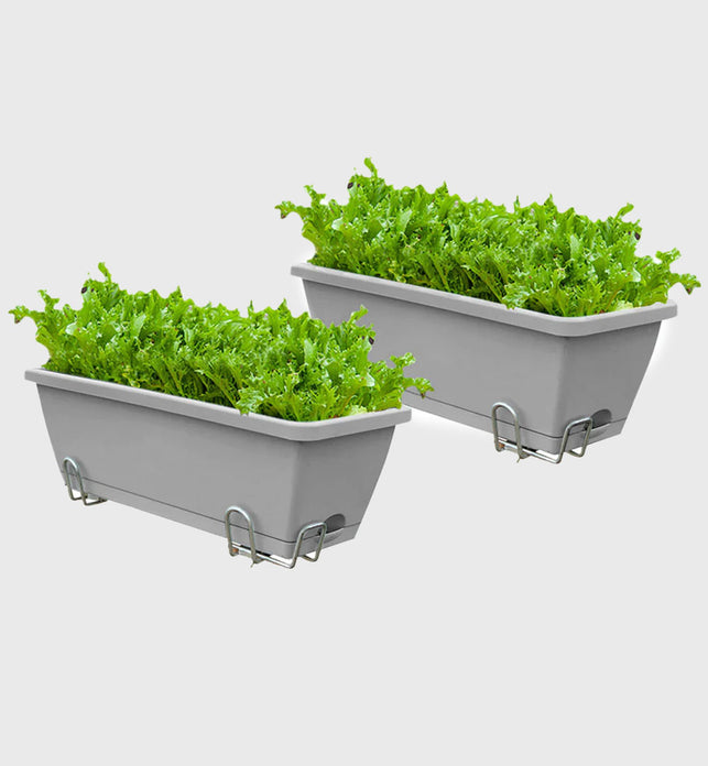 49.5cm Gray Rectangular Vegetable Herb Flower Planter Box Set of 2