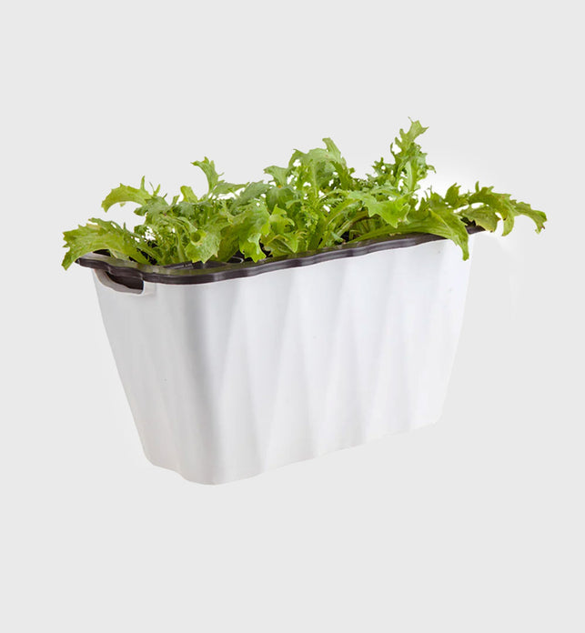 White Rectangular Flowerpot Vegetable Herb Planters Box Small