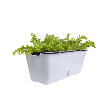 White Rectangular Flowerpot Vegetable Herb Planters Box Large