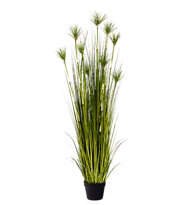 150cm Green  Artificial Indoor Potted Papyrus Plant