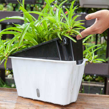 White Rectangular Flowerpot Vegetable Herb Planters Box Small